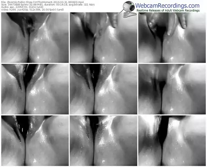 zbiornik-inthismoment-webcam-show-03_31_2016-06_06_03