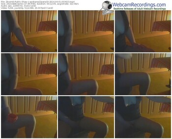 zbiornik-spokojna22para33-webcam-show-04_01_2016-00_36_23