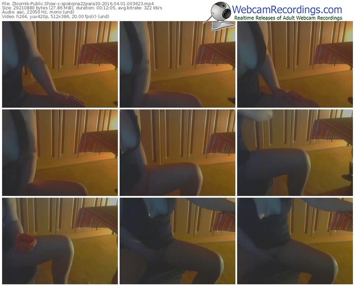 zbiornik-spokojna22para33-webcam-show-04_01_2016-00_36_23
