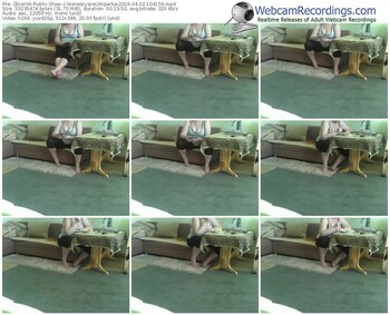 zbiornik-lesneszyszeczkiparka-webcam-show-04_02_2016-10_41_59