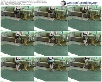 zbiornik-lesneszyszeczkiparka-webcam-show-04_02_2016-11_07_00