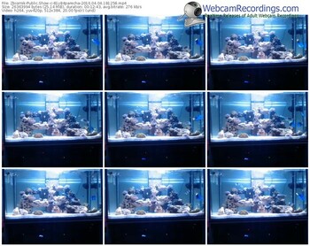 zbiornik-81y84parecha-webcam-show-04_04_2016-18_12_58