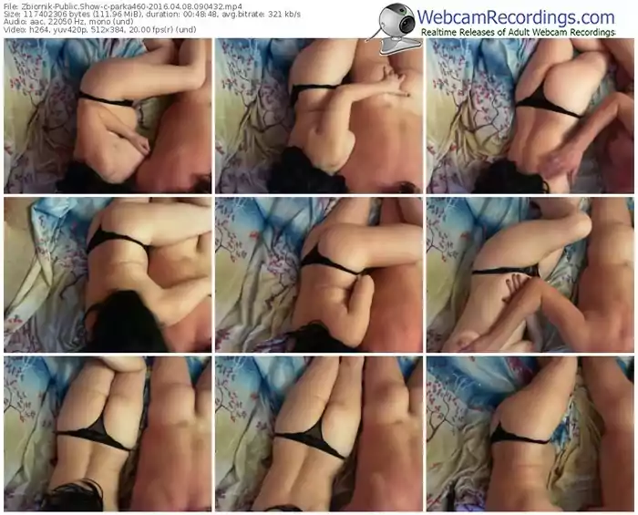 zbiornik-parka460-webcam-show-04_08_2016-09_04_32