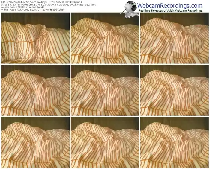 zbiornik-toyboy913-webcam-show-04_08_2016-06_49_26