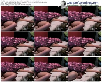 zbiornik-para9788wawa-webcam-show-04_11_2016-22_00_42