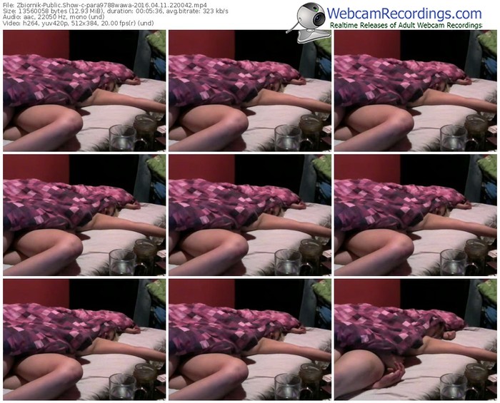 zbiornik-para9788wawa-webcam-show-04_11_2016-22_00_42