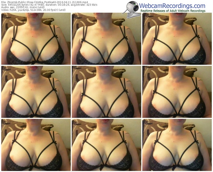 zbiornik-kotka_psotka40-webcam-show-04_11_2016-21_16_06