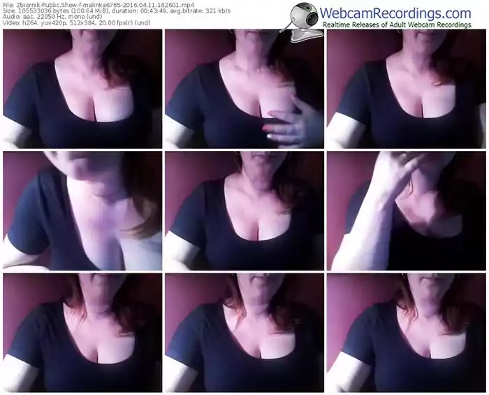 zbiornik-malinka6765-webcam-show-04_11_2016-16_26_01