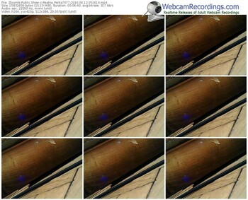zbiornik-realna_parka7977-webcam-show-04_12_2016-05_16_14