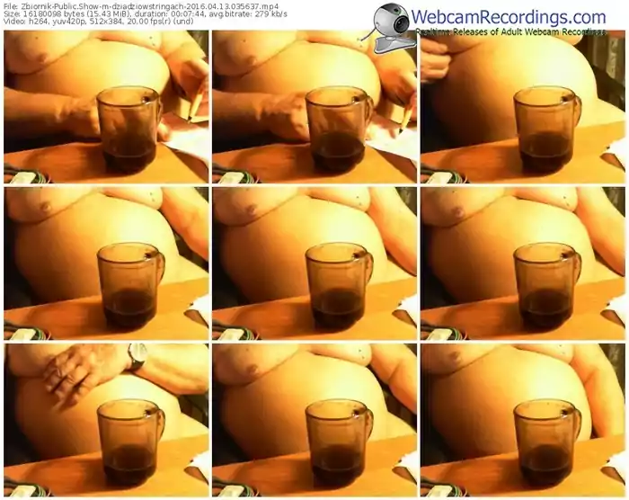 zbiornik-dziadziowstringach-webcam-show-04_13_2016-03_56_37