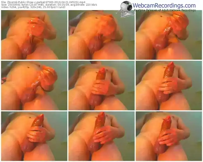 zbiornik-parka197583-webcam-show-04_21_2016-04_51_51