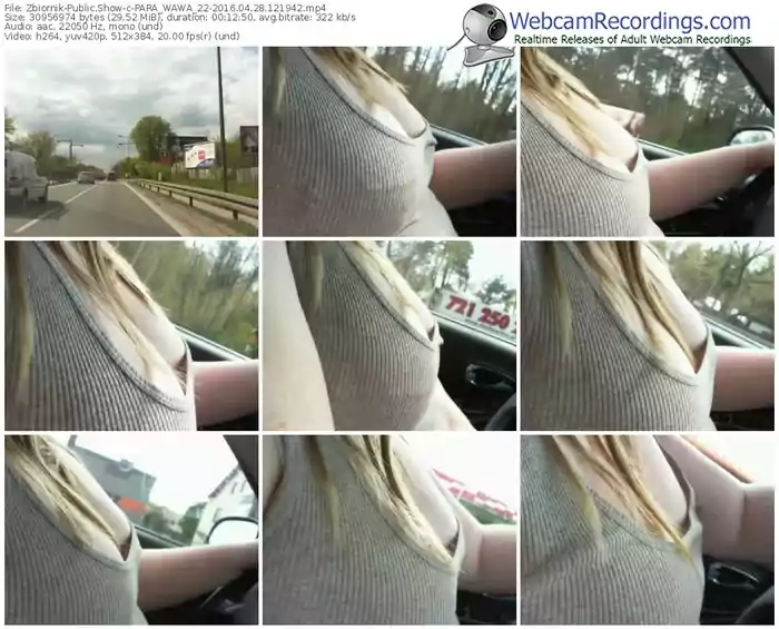 zbiornik-para_wawa_22-webcam-show-04_28_2016-12_19_42