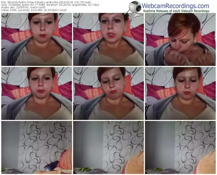 zbiornik-ruda_landrynka-webcam-show-05_01_2016-13_17_25