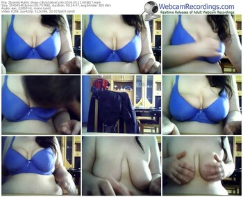 zbiornik-bylysobiecycki-webcam-show-05_11_2016-08_38_17