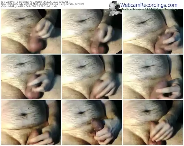 zbiornik-onmobil-webcam-show-05_11_2016-01_33_09