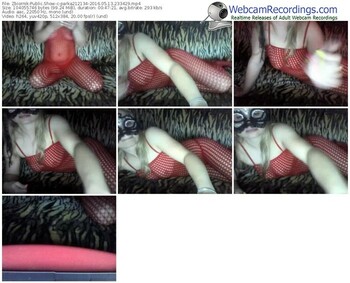 zbiornik-parka212134-webcam-show-05_13_2016-23_34_29