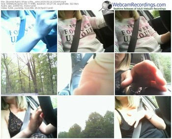 zbiornik-the__sims-webcam-show-05_14_2016-10_16_05