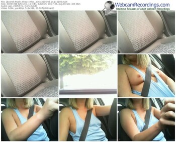 zbiornik-the__sims-webcam-show-05_14_2016-11_01_05