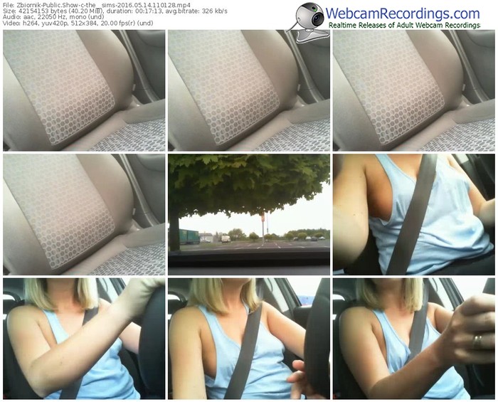 zbiornik-the__sims-webcam-show-05_14_2016-11_01_28