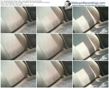 zbiornik-the__sims-webcam-show-05_14_2016-12_11_06