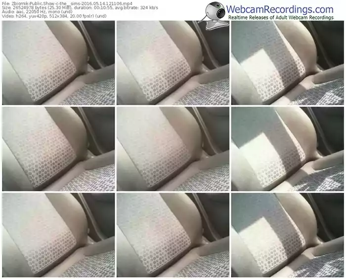 zbiornik-the__sims-webcam-show-05_14_2016-12_11_06