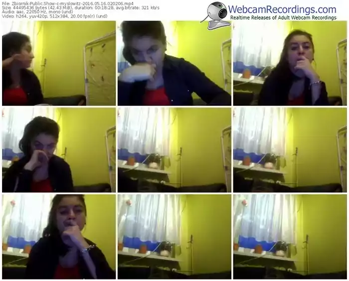 zbiornik-myslowitz-webcam-show-05_16_2016-02_02_06