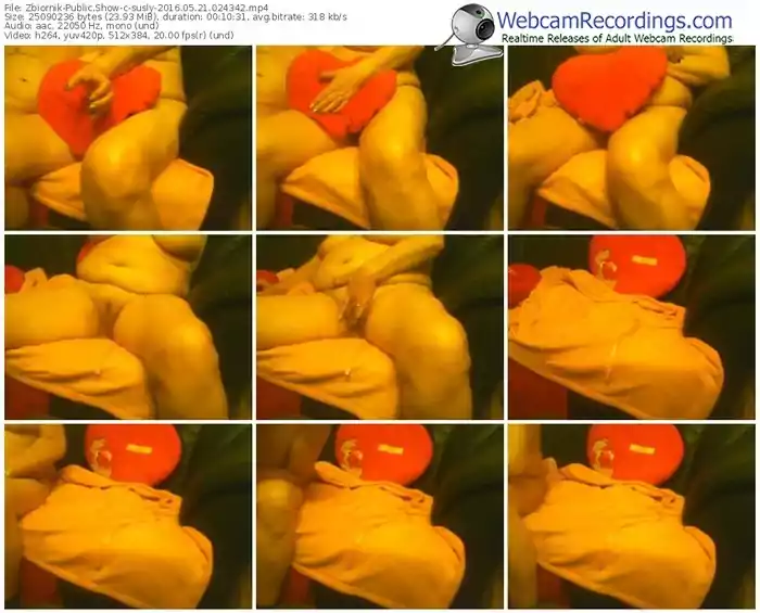 zbiornik-susly-webcam-show-05_21_2016-02_43_42