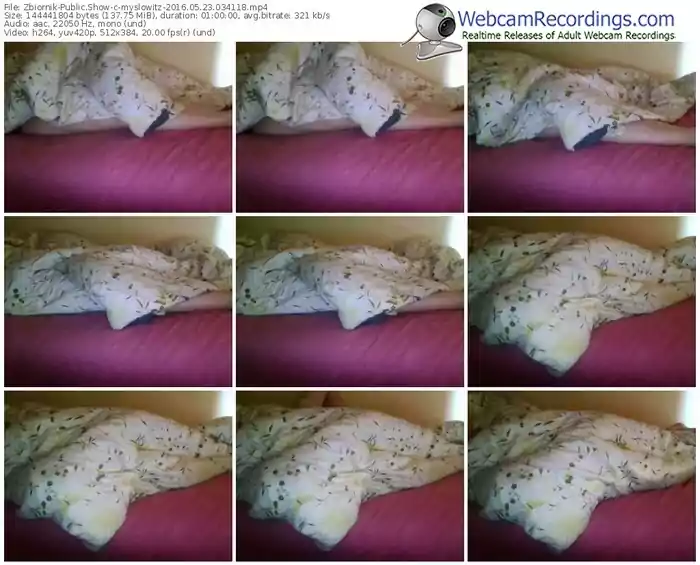 zbiornik-myslowitz-webcam-show-05_23_2016-03_41_18