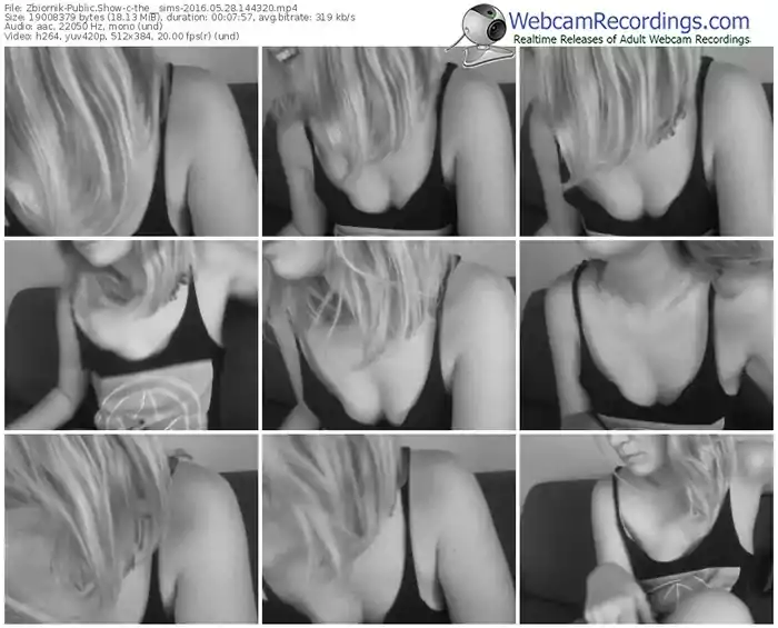 zbiornik-the__sims-webcam-show-05_28_2016-14_43_20