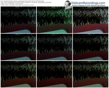 zbiornik-parka212134-webcam-show-06_03_2016-23_44_44