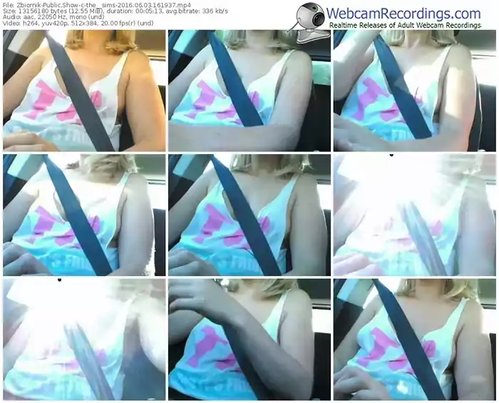 zbiornik-the__sims-webcam-show-06_03_2016-16_19_37