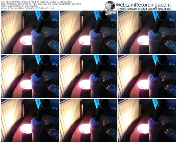 zbiornik-rood_en_kaal-webcam-show-06_04_2016-19_10_03