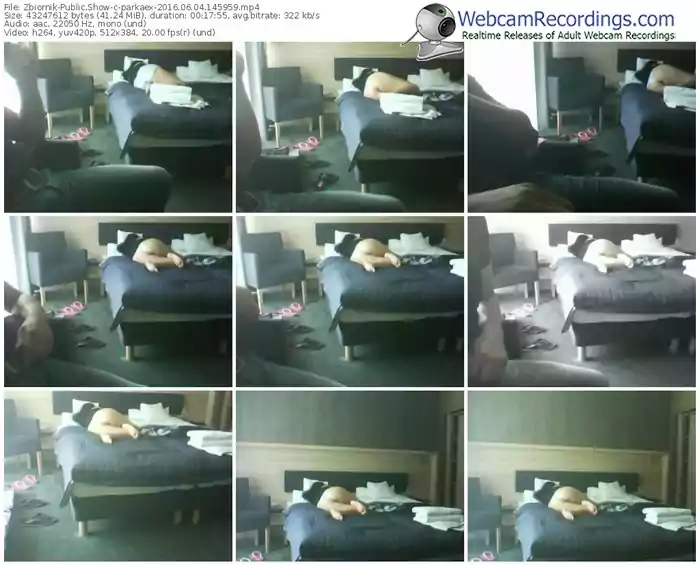 zbiornik-parkaex-webcam-show-06_04_2016-14_59_59