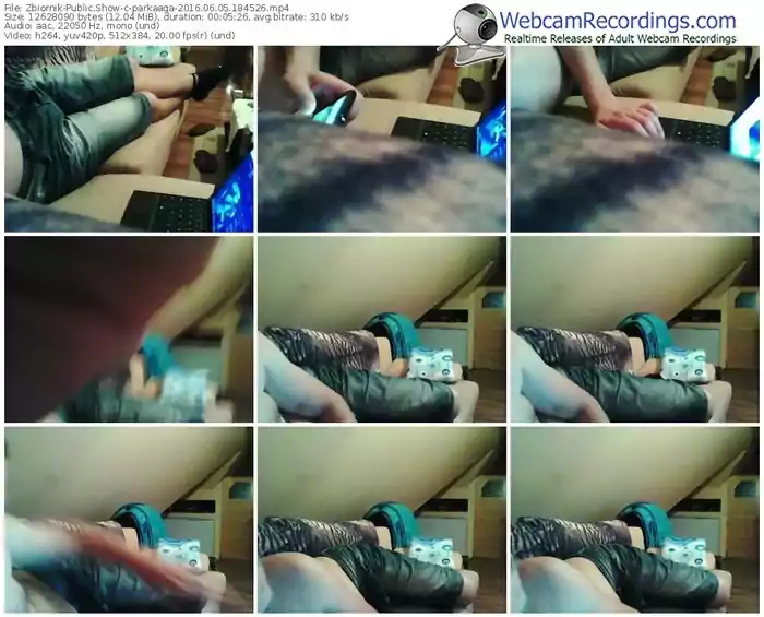 zbiornik-parkaaga-webcam-show-06_05_2016-18_45_26