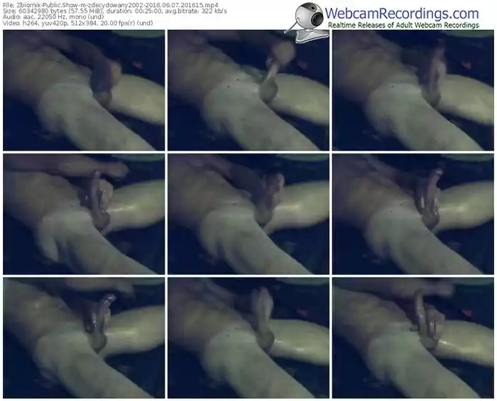 zbiornik-zdecydowany2002-webcam-show-06_07_2016-20_16_15