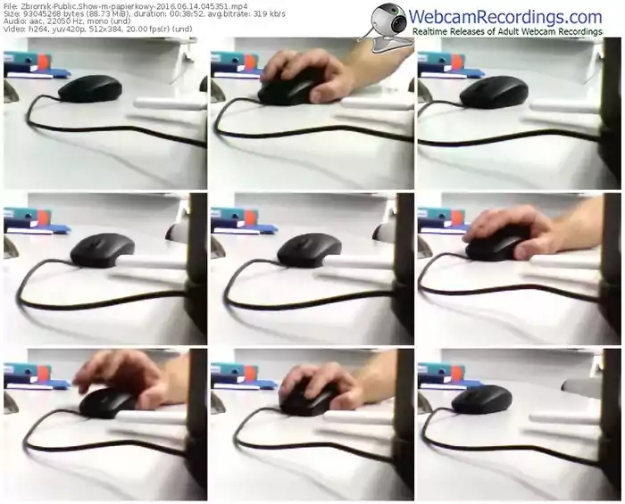 zbiornik-papierkowy-webcam-show-06_14_2016-04_53_51