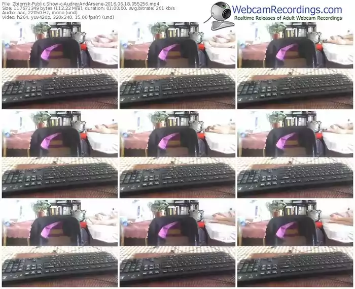 zbiornik-audreyandarsene-webcam-show-06_18_2016-05_52_56