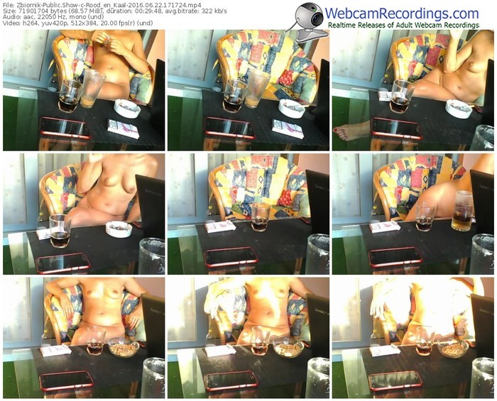 zbiornik-rood_en_kaal-webcam-show-06_22_2016-17_17_24