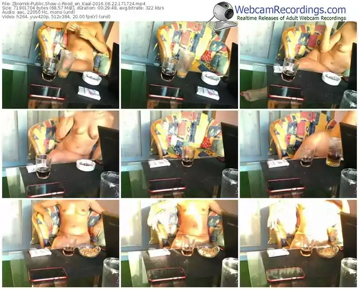 zbiornik-rood_en_kaal-webcam-show-06_22_2016-17_17_24