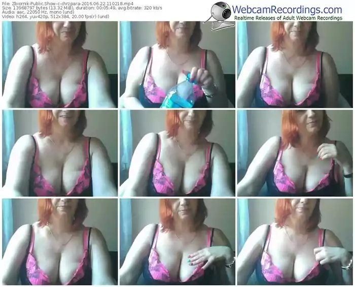 zbiornik-chrzpara-webcam-show-06_22_2016-11_02_18