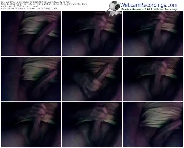 zbiornik-bigimaan-webcam-show-06_23_2016-01_02_40