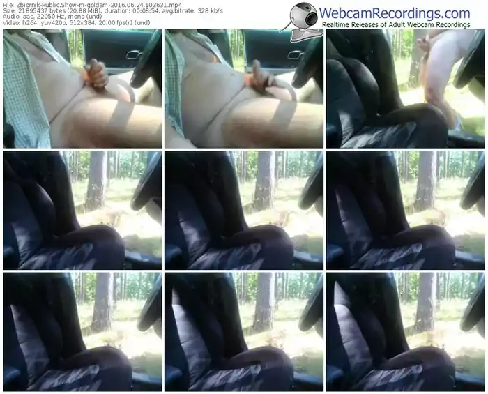 zbiornik-goldam-webcam-show-06_24_2016-10_36_31