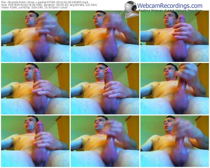 zbiornik-parka197583-webcam-show-06_28_2016-04_58_05