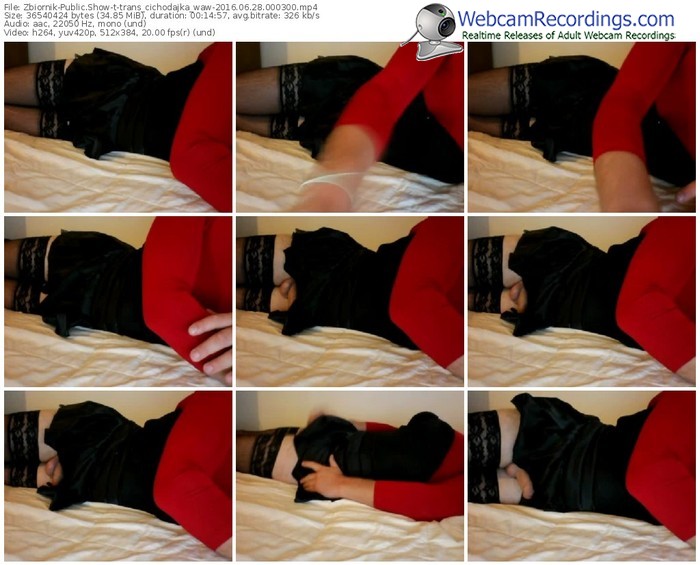 zbiornik-trans_cichodajka_waw-webcam-show-06_28_2016-00_03_00