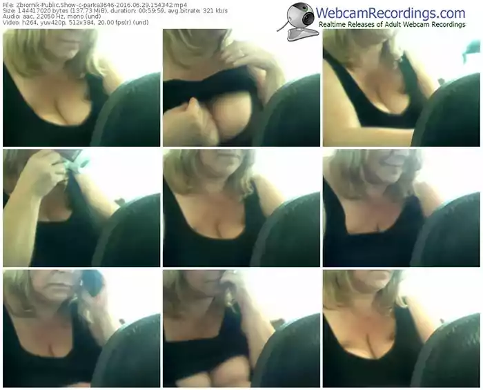 zbiornik-parka3646-webcam-show-06_29_2016-15_43_42