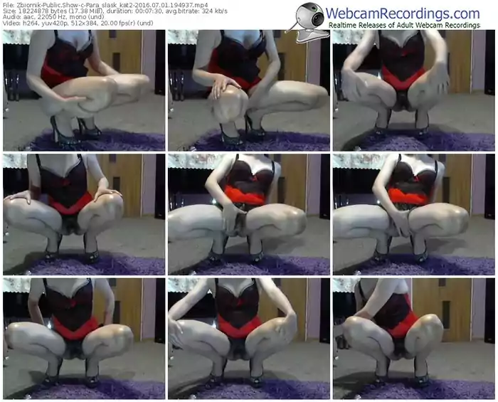 zbiornik-para_slask_kat2-webcam-show-07_01_2016-19_49_37