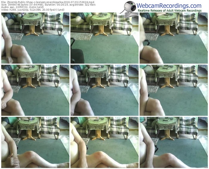 zbiornik-lesneszyszeczkiparka-webcam-show-07_03_2016-15_30_24