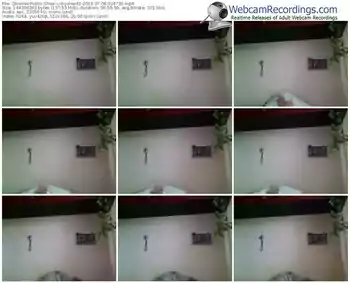 zbiornik-myslowitz-webcam-show-07_08_2016-02_47_20