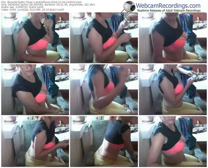 zbiornik-butterflies2-webcam-show-07_09_2016-16_42_43