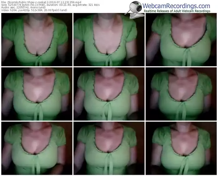 zbiornik-caska12-webcam-show-07_12_2016-23_13_56